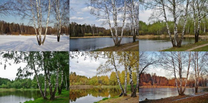 Рыбалка в апреле